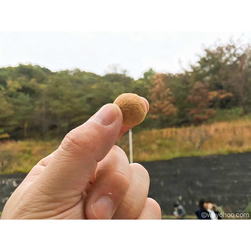 Nho khô phủ đậu nành Kinako Tokai (Tokainosan) 85g - Hachi Hachi Japan Shop