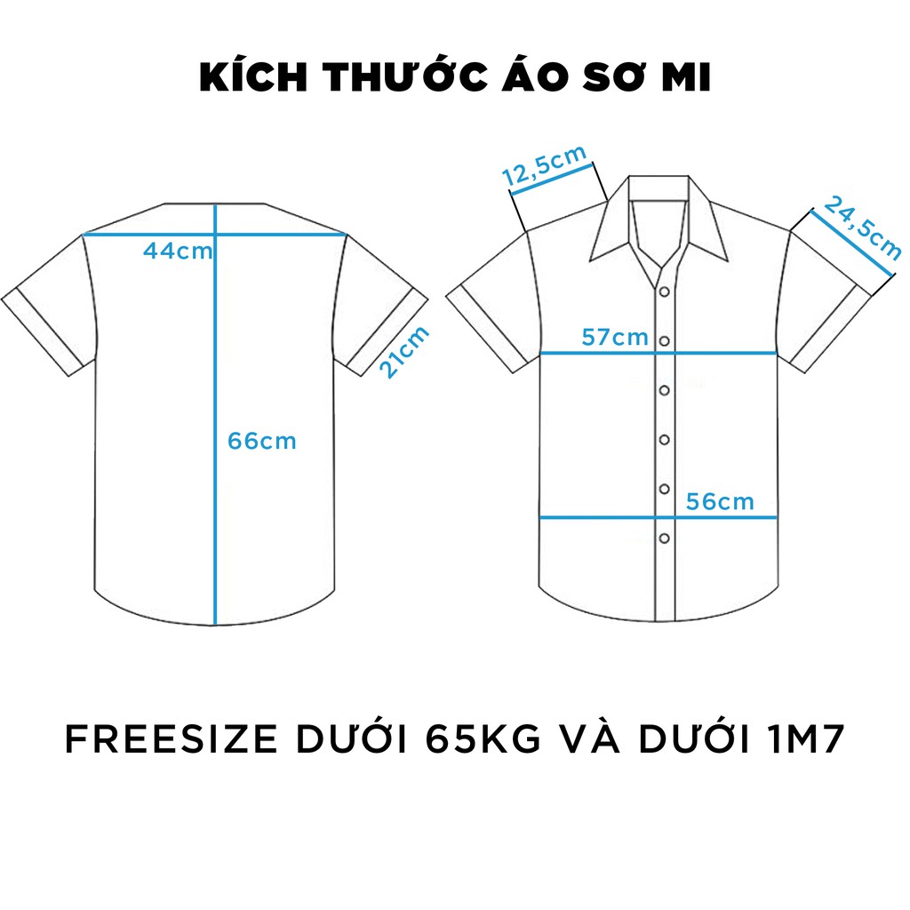 Áo sơ mi nữ in 3D cổ bẻ tay ngắn - lỡ dáng ulzzang freesize form rộng unisex mặc cặp, nhóm, in hình TƯỢNG AI CẬP | BigBuy360 - bigbuy360.vn