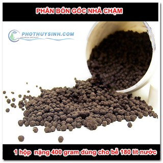 Cốt nền Netiea
