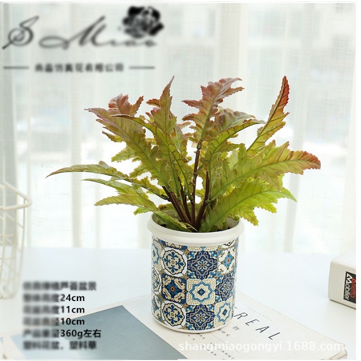 Chậu cây xanh trang trí để bàn cao 24cm