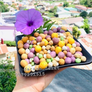 1 kg đậu thập cẩm 14 vị- siêu ngon