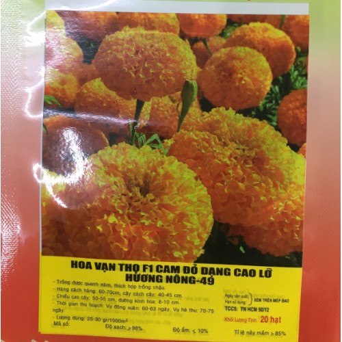 HẠT GIỐNG HOA VẠN THỌ F1 MÀU CAM ĐỎ DẠNG CAO LỠ HN 49 - GÓI 20 HẠT