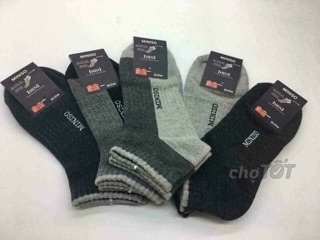 Sét 5 tất miniso cao cấp nam