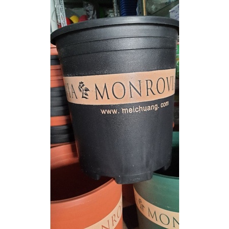 chậu MONROVIA 5GL trồng hoa hồng siêu đẹp đường kính 27cm