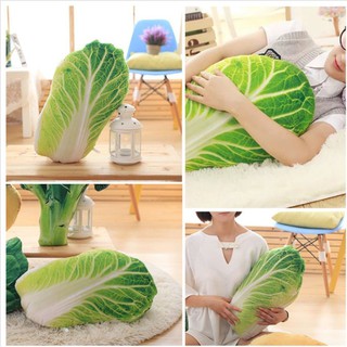 gối ôm 3d hình bắp cải