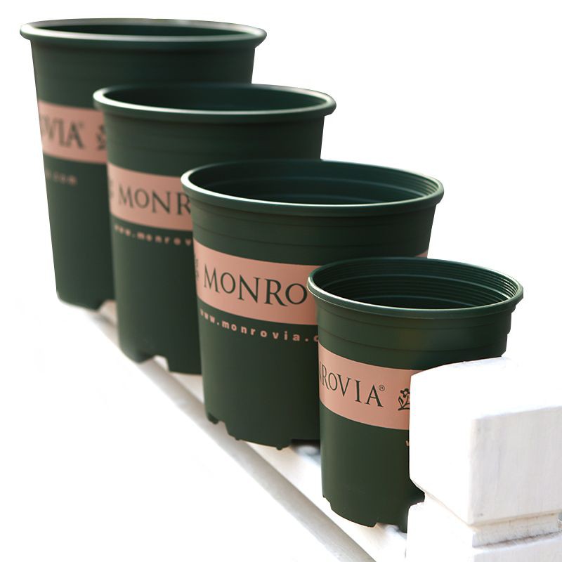 Chậu nhựa trồng cây Monrovia 5GL_không kèm đĩa lót - KT 27.5 x 31 x 22 cm (đường kính miệng x chiều cao x đáy)