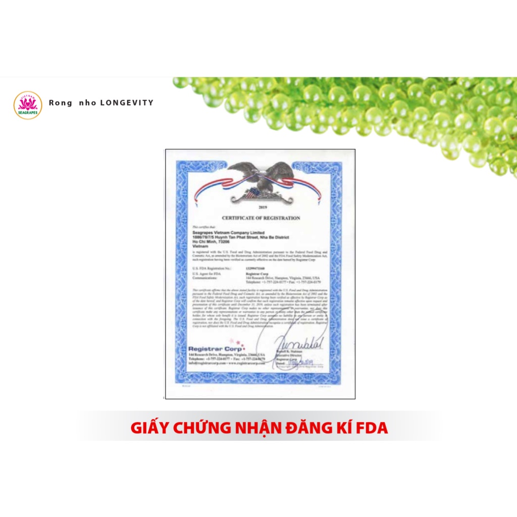 Rong Nho Trường Thọ - Rong nho tách nước Hộp 40g nở ra rong nho tươi giòn rộp rộp - hàng xuất khẩu Mỹ