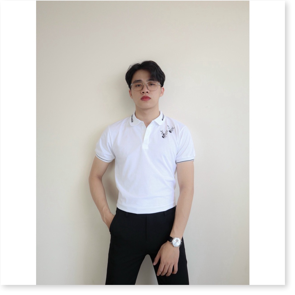 ÁO THUN NAM NGẮN TAY SANG TRỌNG , CHUẨN BODY CHO AE KOKO MI