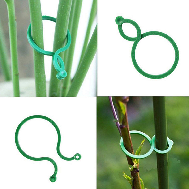 Nglow 100Pcs Vegetable Plant Support Clips Tomato Vine Flower Grow Upright Clip Holder Fad Fad