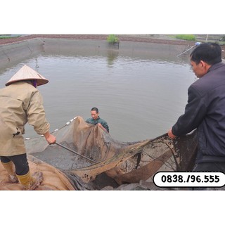 Lưới Kéo Cá Tôm Cao 2m Dài 6m Túi 3m (Hàng Chuẩn)
