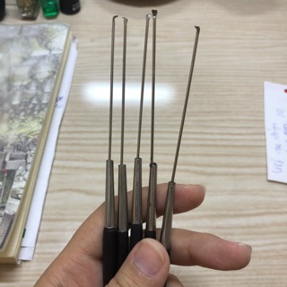Cây móc rái tai (2 cây)