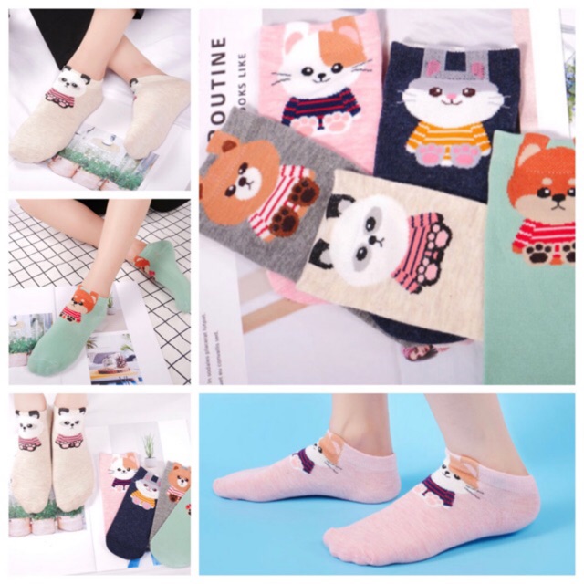 [ĐỒNG GIÁ 15K] VỚ TẤT NGẮN NỮ THÚ CƯNG XINH