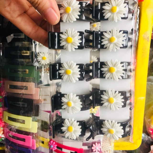 Si 10 gap 3r bong cúc họa mi
