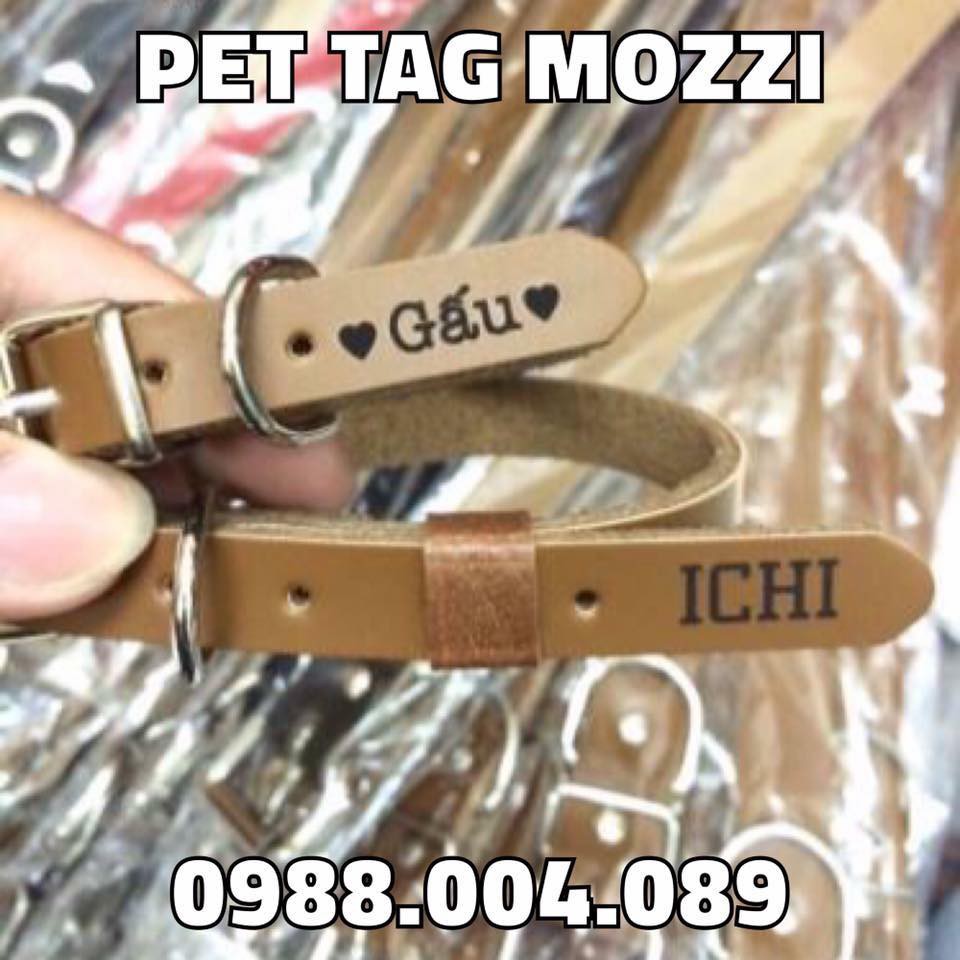 Pettag Mozzi - Combo Thẻ tên và Dây da khắc tên chó mèo