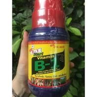 Phân bón Vitamin B1 thái Lan Chai 1000ml - B1 xanh thái