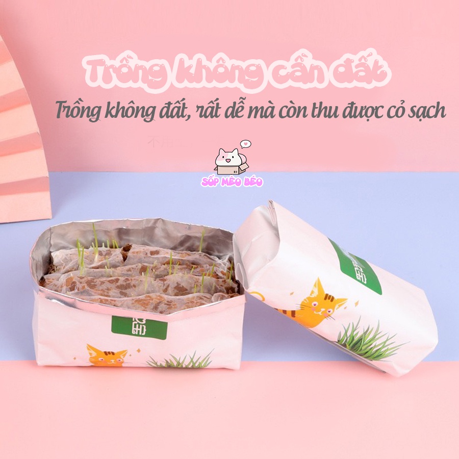 Túi Hạt Cỏ Mèo trồng ngay không cần đất hãng DADA XIONG, 7 ngày là Mèo ăn được,tiêu búi lông cực tốt