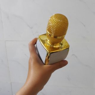 Micro Hát Karaoke kiêm loa Bluetooth SD16