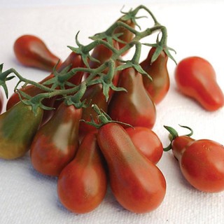 Hạt Giống Cà Chua Quả Lê Đỏ - 20 hạt