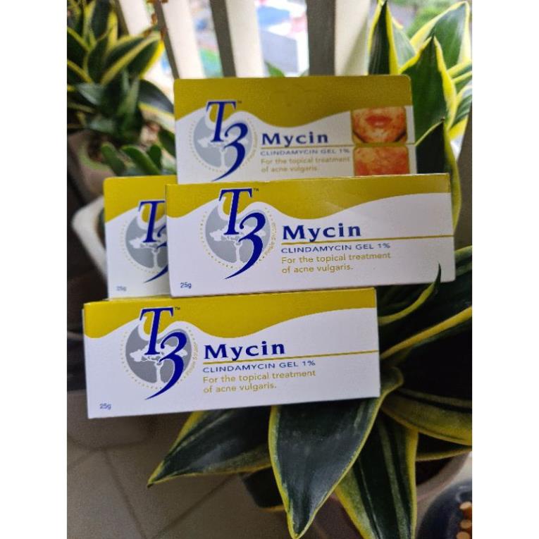 Gel bôi mụn T3 Mycin 25g - Giảm mụn trứng cá, mụn kèm viêm và mụn ẩn | BigBuy360 - bigbuy360.vn