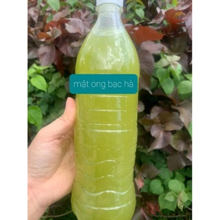 MẬT ONG BẠC HÀ