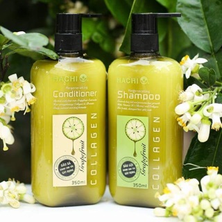 Bộ sản phẩm dầu gội - xả HACHI dành cho tóc dầu Greentea - Purifying
