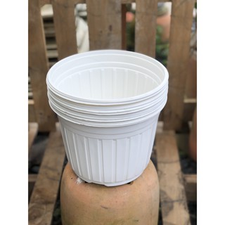 Bộ 10 chậu trồng cây kích thước fi 280 x 205 mm