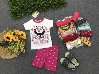 Set 4 bộ tay ngắn bé gái
