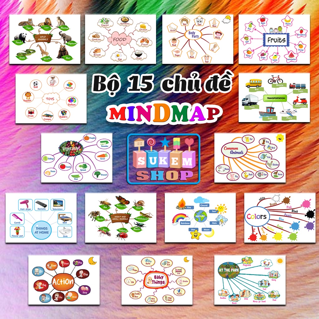 Sơ đồ tư duy tiếng Anh - Mindmap 11 - 15 chủ đề - Kèm file nghe QR !