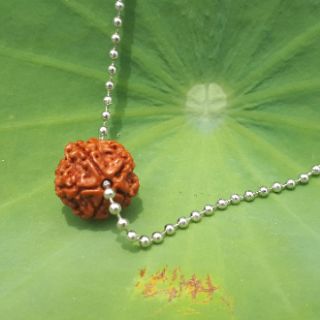 Dây chuyền hạt bồ đề kim cang