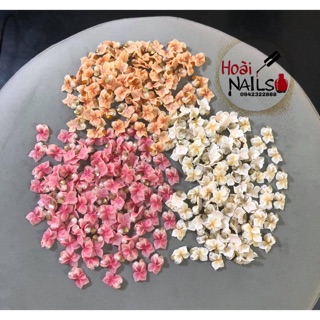 Hoa bột lan ôm đá( 1b) - Phụ kiện Nail Giá Rẻ