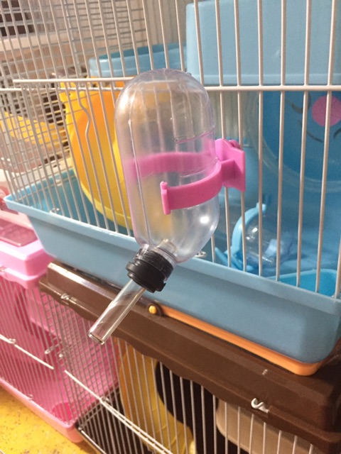 Bình uống nước cho hamster
