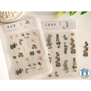 Bộ PET sticker HOA CỎ MÙA XUÂN