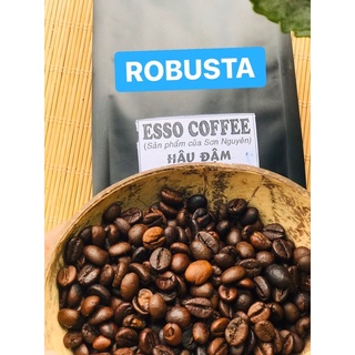 ROBUSTA - TỔNG ĐẠI LÝ CAFE HẠT