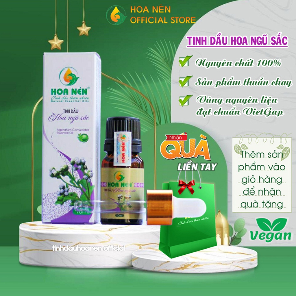 Tinh dầu hoa Ngũ Sắc nguyên chất Hoa Nén