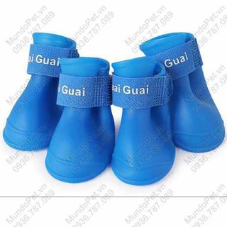 Giầy chó mèo