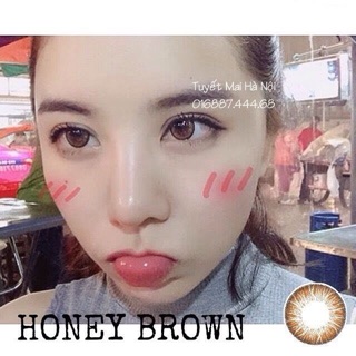 Lens vassen kính áp tròng vassen Honey brown cực xinh có độ cận