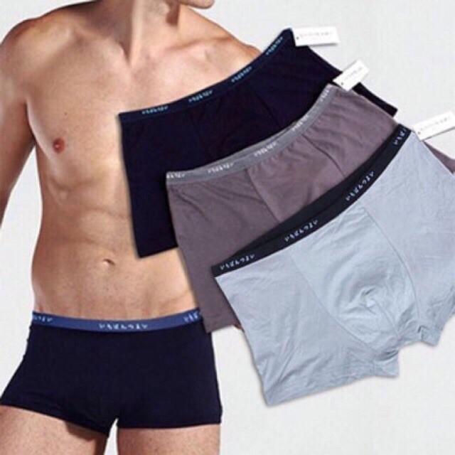 Sịp đùi/chéo cotton xuất Nhật