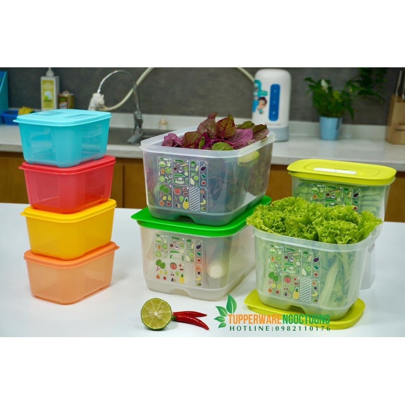 Tupperware - Bộ 4 hộp trữ mát cao cấp vensmart tặng 4 hộp đông rainbow