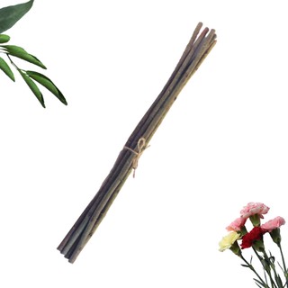 Bó củi khô vintage decor trang trí 5 cây 50cm đường kính ngẫu nhiên