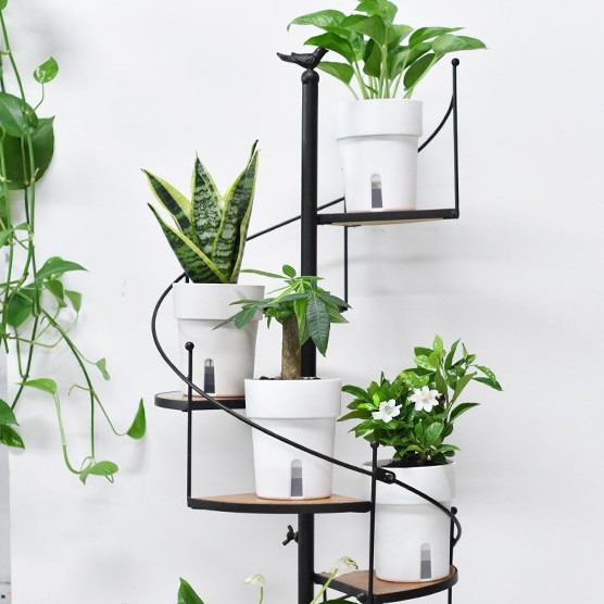 Chậu nhựa trồng cây để bàn tự tưới- Nét đẹp từ sự giản đơn