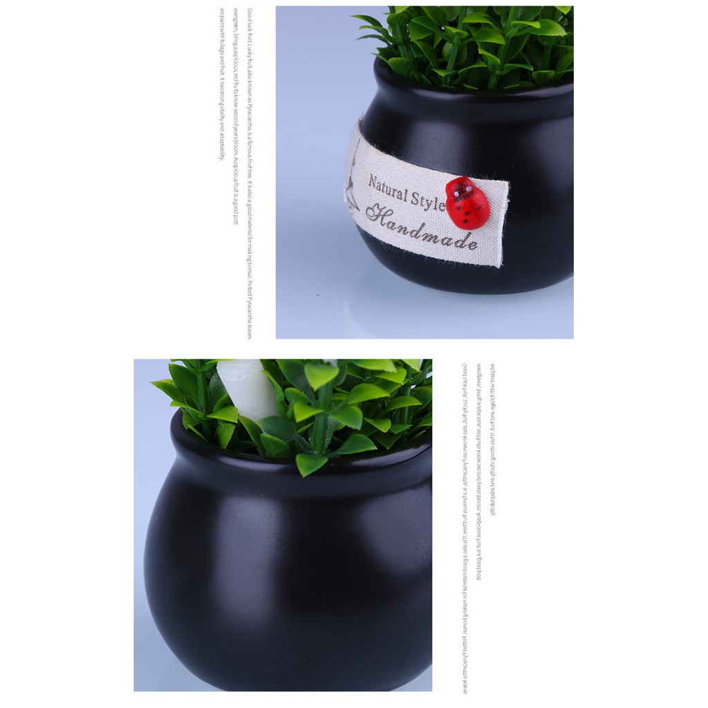 [RẺ VÔ ĐỊCH] CHẬU HOA TRANG TRÍ Ô TÔ, TRANG TRÍ BÀN LÀM VIỆC [BỀN - RẺ - ĐẸP] | BigBuy360 - bigbuy360.vn