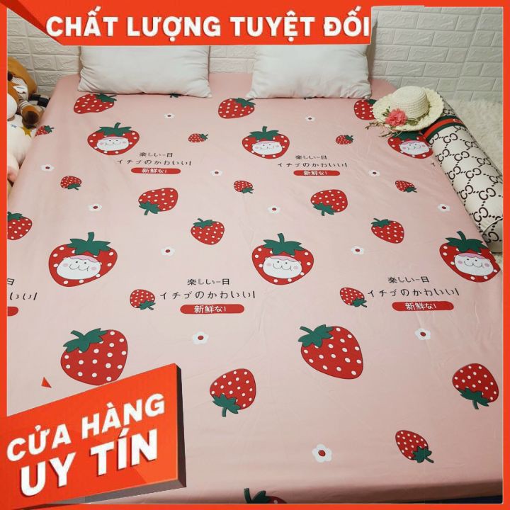 [XUẤT XƯỞNG]Ga chống thấm cotton hàng Công ty loại chuẩn - 3 KHÔNG