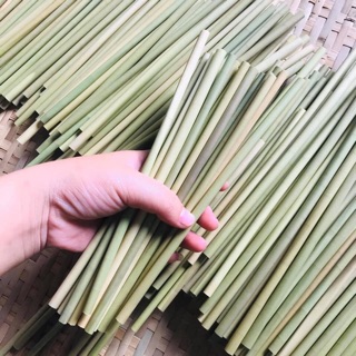 Ống hút cỏ bàng