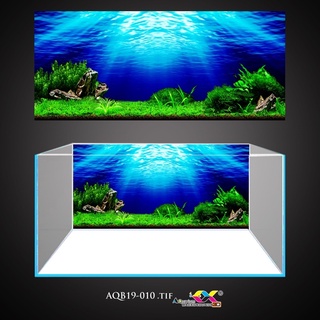 Tranh dán bể cá 3D siêu đẹp, siêu nét, có keo sẵn trên bề mặt, nhiều kích thước lựa chọn