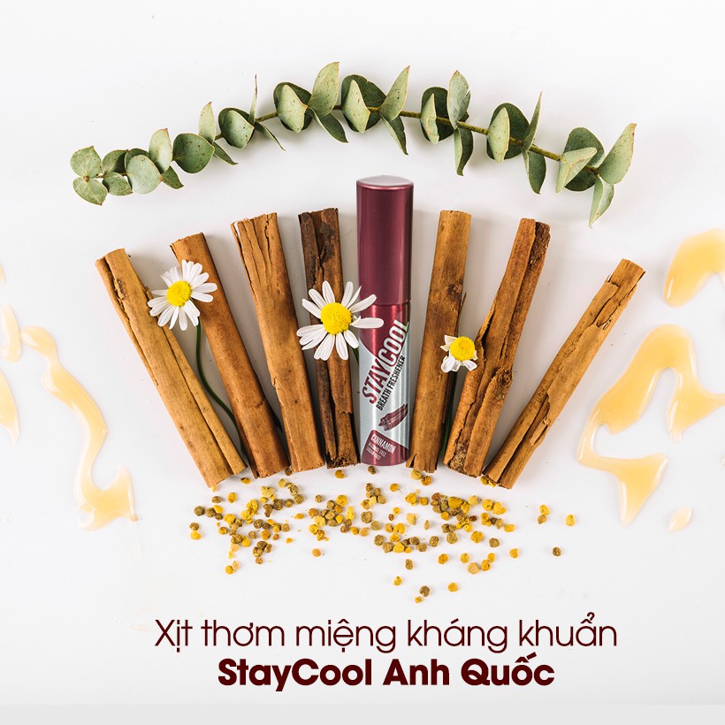 Xịt thơm miệng kháng khuẩn StayCool từ Anh Quốc - Đặc biệt Hương Quế &amp; Hương Bạc Hà