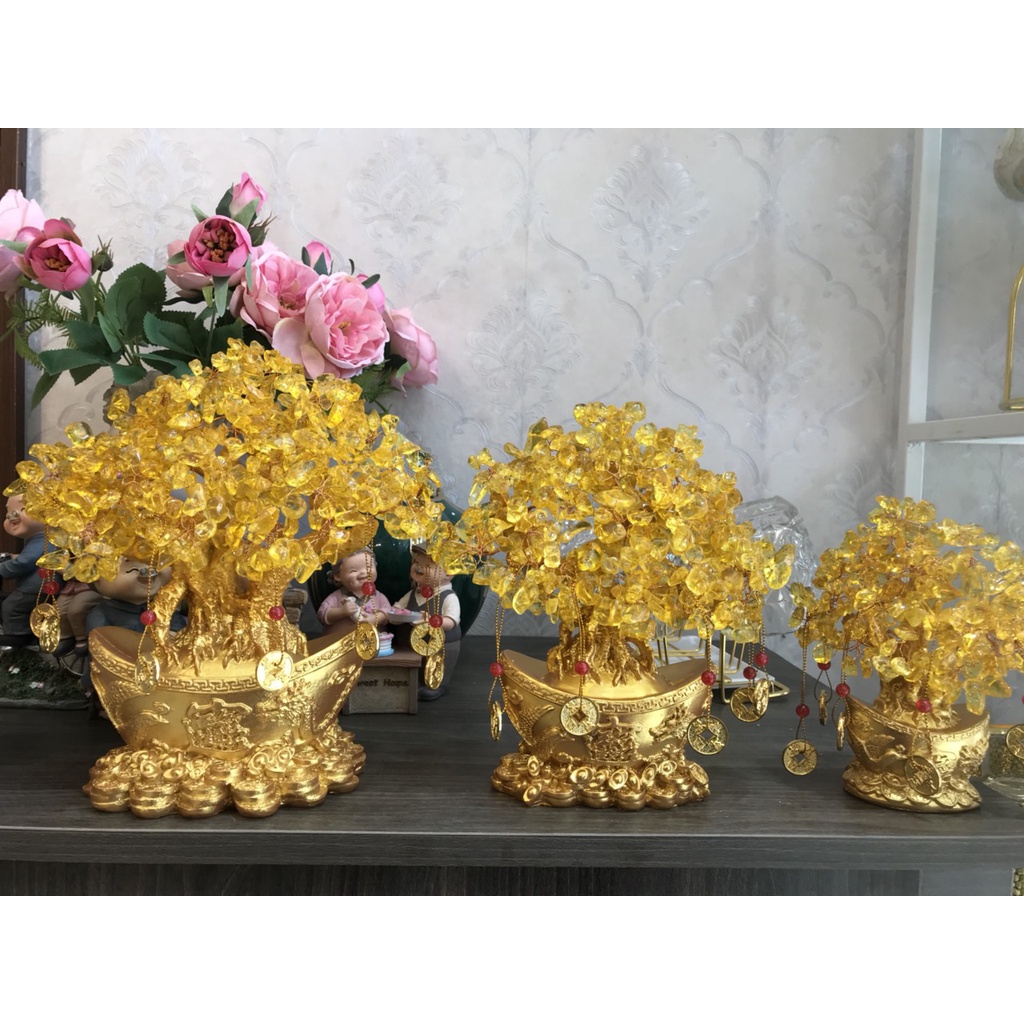 Cây thần tài, cây tài lộc chậu thỏi vàng phát tài phát lộc