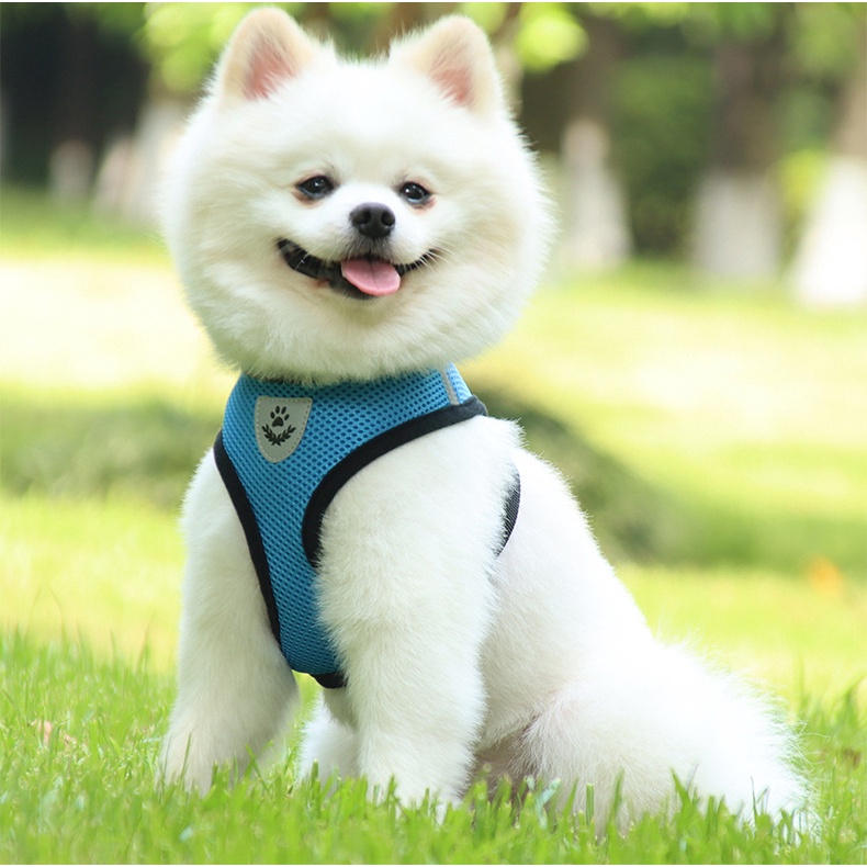 Bộ Dây Dắt Thú Cưng Phản Quang Thoáng Khí 9 Màu Kèm Dây Dắt