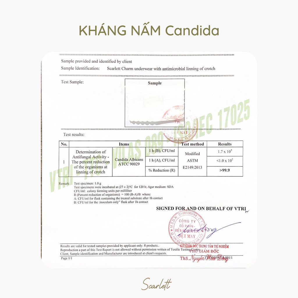 Quần định hình 3 in 1 hỗ trợ vóc dáng QL20 | BigBuy360 - bigbuy360.vn