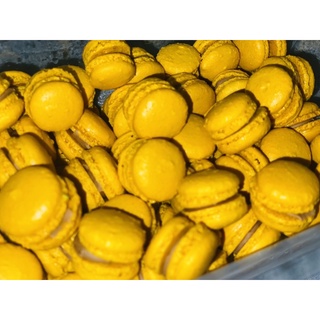 COMBO 5 MACARON MINI ( chọn vị )
