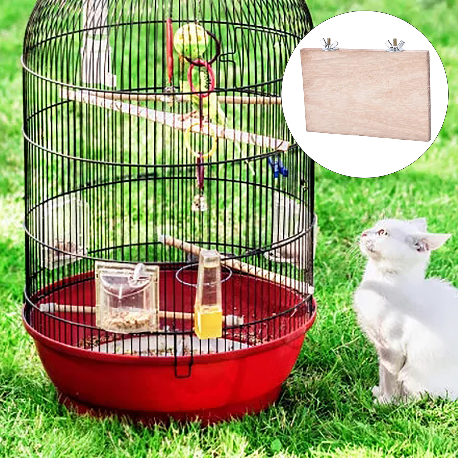 Bệ Đứng Hẹn Giờ Cho Chuột Hamster